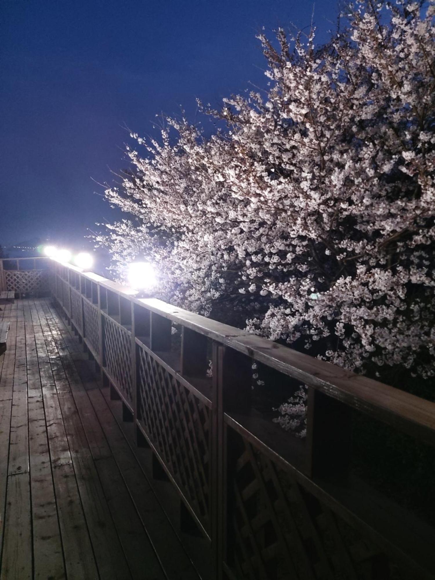 White House Hotel Namhae Exterior photo