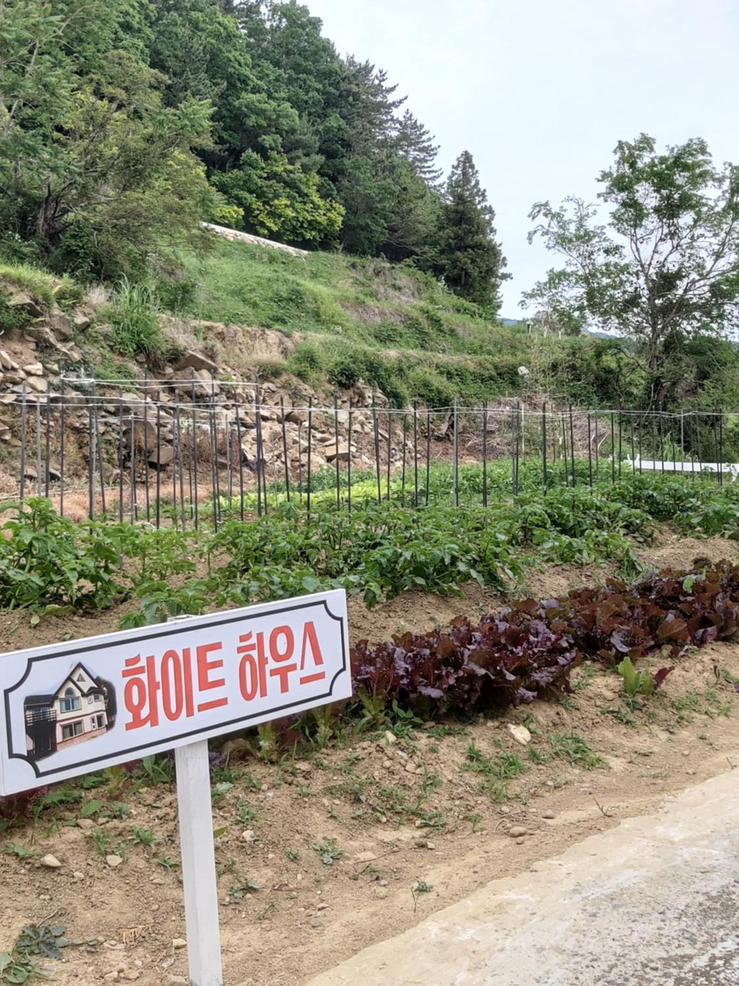 White House Hotel Namhae Exterior photo