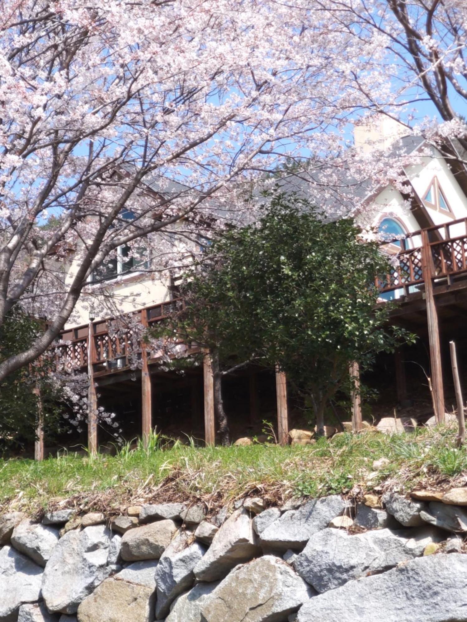 White House Hotel Namhae Exterior photo
